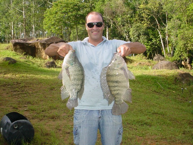 Peixes para criação em lagos black bass